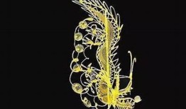 糖心闺蜜：执手共赴甜蜜生活的青春爱情小说