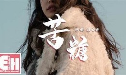 糖心丢失：一段甜蜜而忧伤的追寻之旅