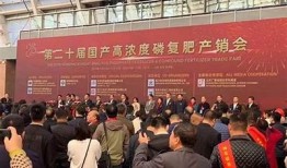 高清糖心视频下载，畅享国产影视精彩时刻