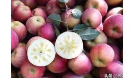 糖心苹果电影在线免费观看：精彩剧情及观后感分享