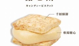 “糖心小饼干流云在线：美味分享与制作技巧”