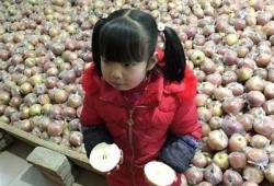 沈娜娜糖心Vlog：探索甜蜜日常与快乐生活