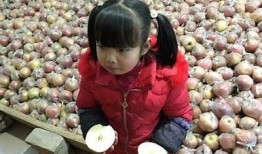 沈娜娜糖心Vlog：探索甜蜜日常与快乐生活