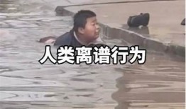 糖心原创搞笑视频：让你笑翻天的搞笑合集免费在线观看！