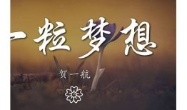 糖心看鸟：一部关于梦想与成长的小说在线阅读
