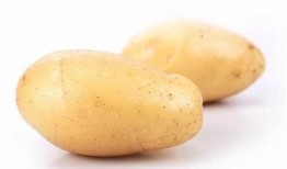 亚洲糖心：在线阅读与精彩内容分享