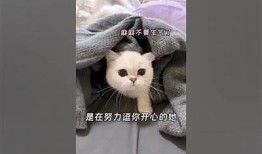 糖心驯鹿：可爱萌宠带你探索奇幻世界的精彩视频