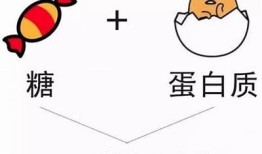 糖心破金：爱与奋斗的甜蜜旅程在线阅读