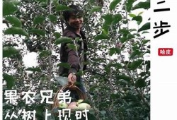 糖心在线：探索国产糖心苹果的特有魅力与美味享受