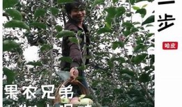 糖心在线：探索国产糖心苹果的特有魅力与美味享受