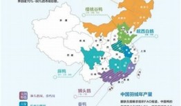 国产天鹅绒多肉能否成功出糖心？养护技巧揭秘！