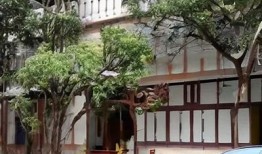 国产糖心美女：魅力四射的青春风采，高清在线观看