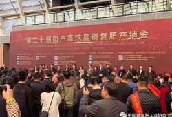 糖心长腿女神在线观看：尽享美丽与魅力的视听盛宴