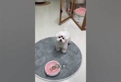 糖心泰国娃娃在线观看：探寻这部热门影片的故事与魅力