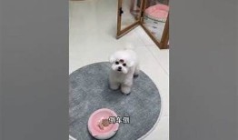 糖心泰国娃娃在线观看：探寻这部热门影片的故事与魅力