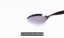 糖心猎人：甜蜜冒险中的爱与成长在线阅读
