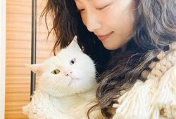 全新国产糖心美女视频，精彩内容不容错过！
