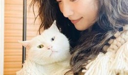 全新国产糖心美女视频，精彩内容不容错过！