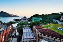 糖心曼岛南端：探索美丽海岛的神秘与魅力