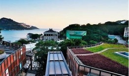 糖心曼岛南端：探索美丽海岛的神秘与魅力