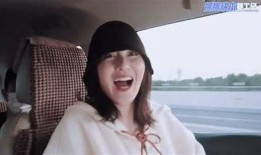 国产糖心VLOG全景观看指南：带你畅游真实生活