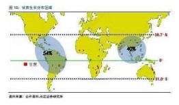 国产糖心的定义、特点及市场前景检视