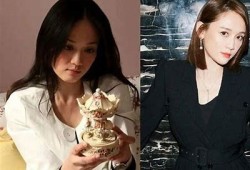 揭秘糖心Vlog官网背后的女孩身份与故事