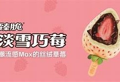 糖心宝宝直播在线观看：精彩互动与真实分享