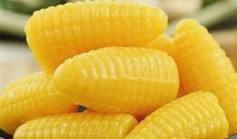 了解国产Nana糖心：美味零食的新选择，口感超出你的期待！