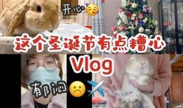 可爱兔糖心Vlog：带你走进兔兔的甜蜜日常生活