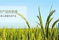 糖心Vlog官网：探索湖南教育网的精彩故事与动态
