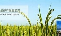 糖心Vlog在线导航：探索美食与生活的精彩瞬间