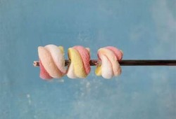 温暖心灵的棉花糖：治愈系视频分享