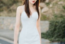糖心恶犬在线观看：全新剧情解析与角色调查