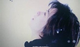 甜蜜爱情：情书糖心小说在线阅读，感受浪漫与温暖