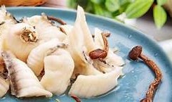 糖心污APP在线观看：畅享高品质独有内容的最佳选择