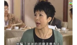 糖心风暴后妈在线观看：揭开家庭纷争与爱情交织的故事