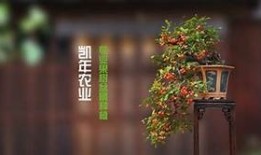 成人糖心VLOG在线观看入口，轻松畅享精彩内容！