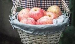 国产糖心苹果的口感如何？真的是好吃吗？