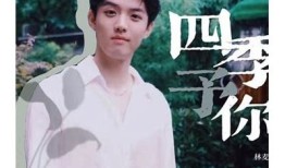 甜蜜生活记录：糖心vlog主小桃的趣味日常分享