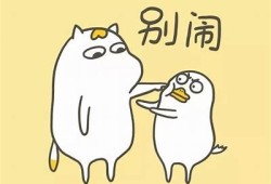 萌兔日常分享：糖心Vlog可爱兔子视频在线观看