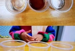 糖心的生物老师在线课堂：探索生物奥秘与学习乐趣