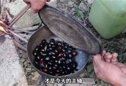 糖心果冻视频分享：美味果冻制作教程与品尝体验