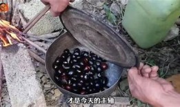 糖心果冻视频分享：美味果冻制作教程与品尝体验