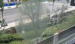 糖心国产一区入口：畅享甜蜜生活的最佳选择