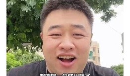糖心Vlog锅锅酱的美味分享：学做香浓锅锅酱的秘诀