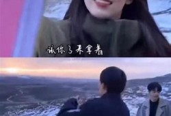 绝配糖心酥：甜蜜爱情与成长的温馨故事