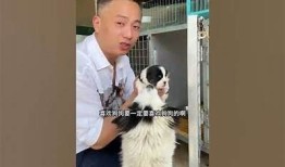 在线观看糖心猫宝宝，畅享萌趣日常与欢乐互动！
