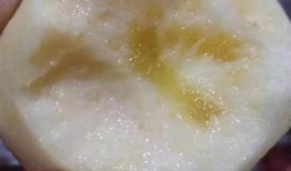 精选国产糖心苹果推荐，口感无与伦比鲜甜，健康美味必尝！