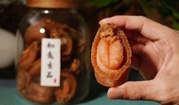 “中国糖心鲍鱼的主要产地及品质特点调查”